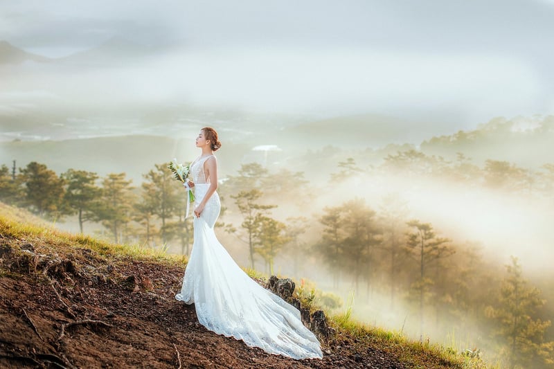 Bride Wedding Woman Dress